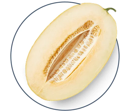 liveon ingredients