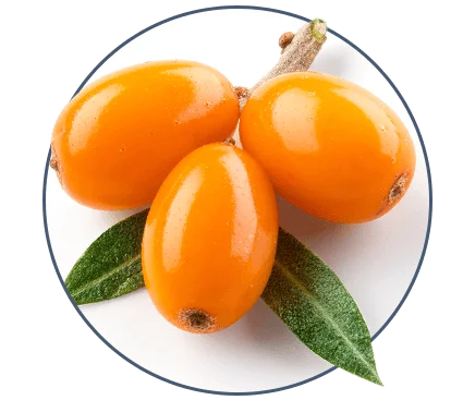 liveon ingredients