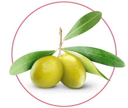 d vine collagen