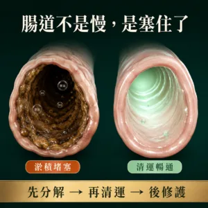 SPIRO Plus 雙藻錠 香港－產品圖 4