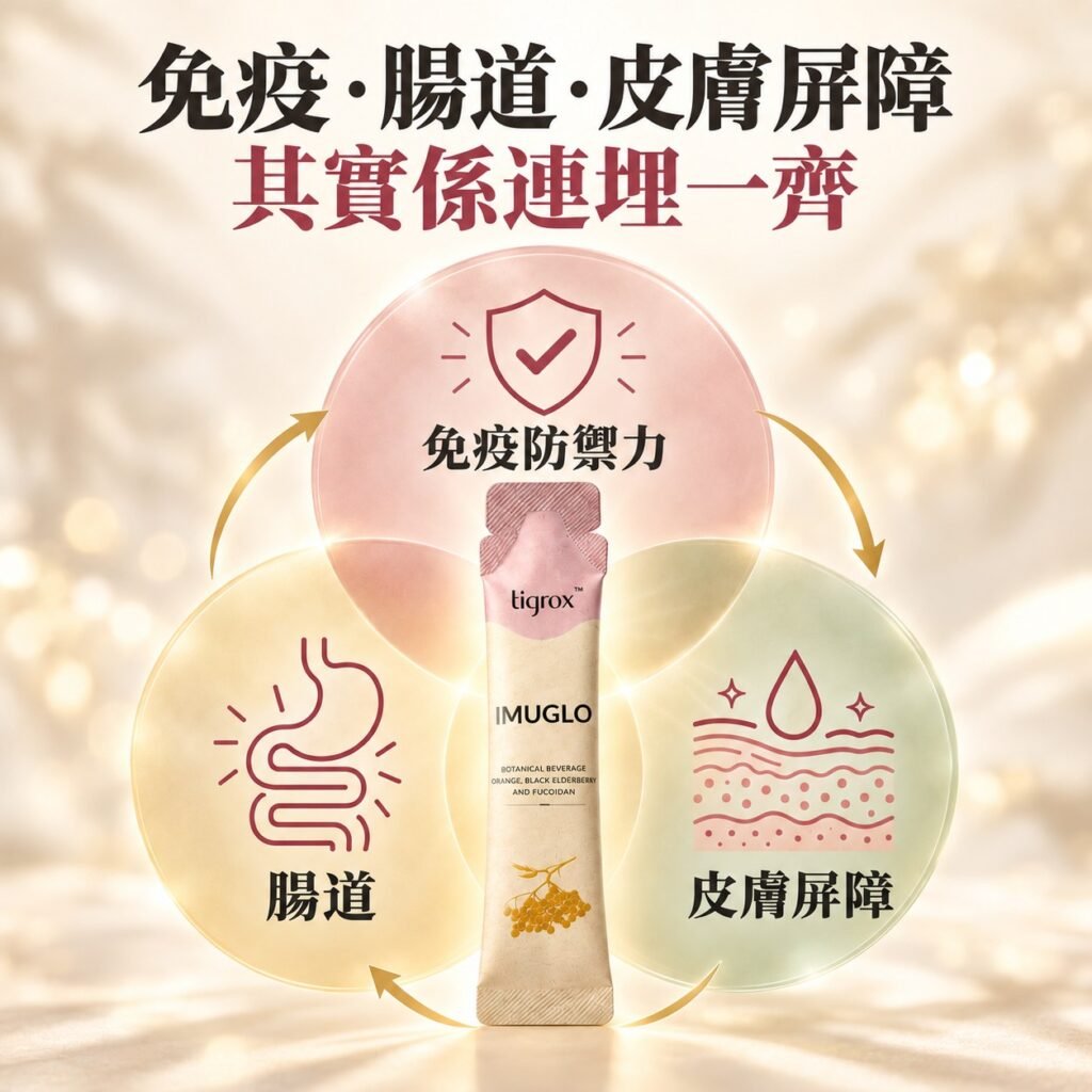 免疫防禦力、腸道、皮膚屏障三者互相連繫嘅示意圖