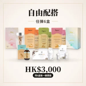 自由配搭 任揀6盒 香港