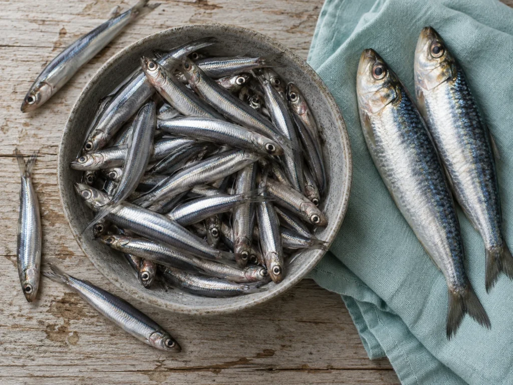 灰色陶碗入面嘅新鮮鯷魚,旁邊有兩條沙甸魚