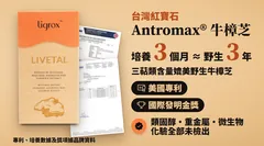 台灣紅寶石 Antromax® 牛樟芝:培養 3 個月約等於野生 3 年三萜類;美國專利、國際發明金獎;類固醇、重金屬、微生物化驗全部未檢出(據品牌資料)
