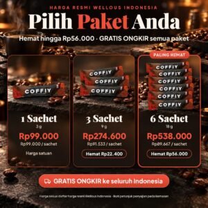 COFFIY Minuman Serbuk Kopi 1 Sachet — pilihan paket dan harga