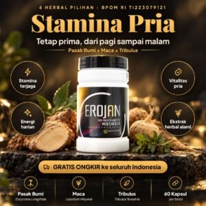 EROJAN 60 Kapsul