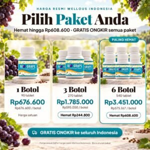 BIO-GRAPE SEED 90 Tablet — pilihan paket dan harga