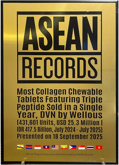 Plakat resmi ASEAN Records 2025 untuk DVN by Wellous