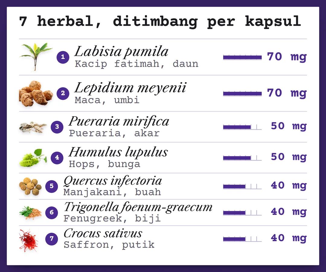 Tujuh herbal per kapsul FEMOIRE NOVIA dengan nama latinnya: Labisia pumila 70 mg, Lepidium meyenii 70 mg, Pueraria mirifica 50 mg, Humulus lupulus 50 mg, Quercus infectoria 40 mg, Trigonella foenum-graecum 40 mg, Crocus sativus 40 mg.