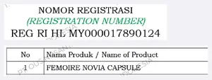 Potongan lampiran registrasi halal BPJPH: nomor REG RI HL MY000017890124, nama produk FEMOIRE NOVIA CAPSULE