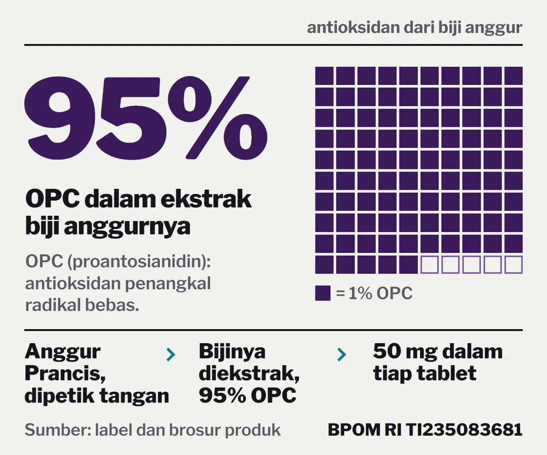 OPC, antioksidan dari biji anggur: 95 dari 100 bagian ekstrak adalah OPC. Dari anggur Prancis yang dipetik tangan, biji diekstrak, jadi tablet 50 mg.