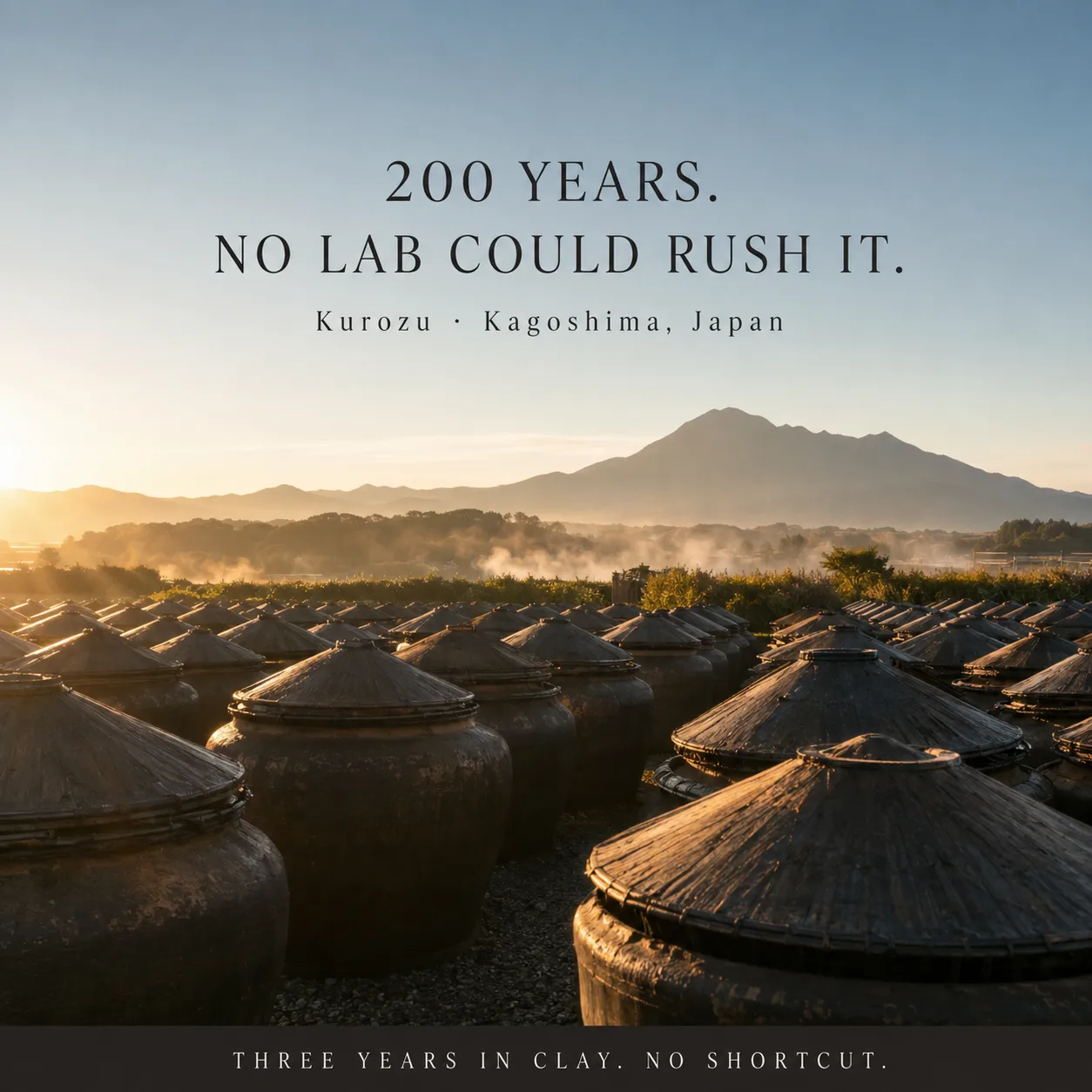 Rows of clay urns fermenting Kurozu black vinegar in an open field at sunrise in Kagoshima, Japan, under the line “200 years — no lab could rush it. Three years in clay, no shortcut.”