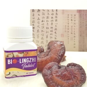Red reishi (lingzhi) mushrooms, the Ganoderma lucidum in BIO LingZhi
