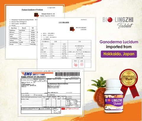 Certificate of analysis from Hokkaido Reishi Co., Ltd. for red reishi powder