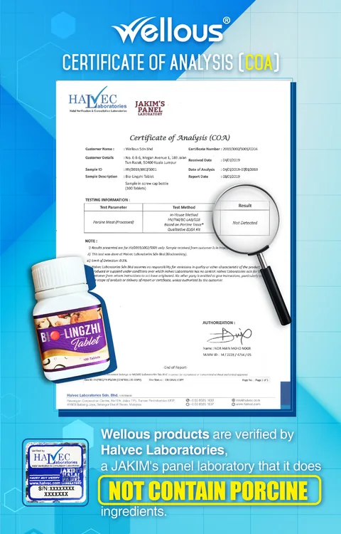 Halvec Laboratories certificate of analysis: porcine not detected in BIO-LINGZHI Tablet