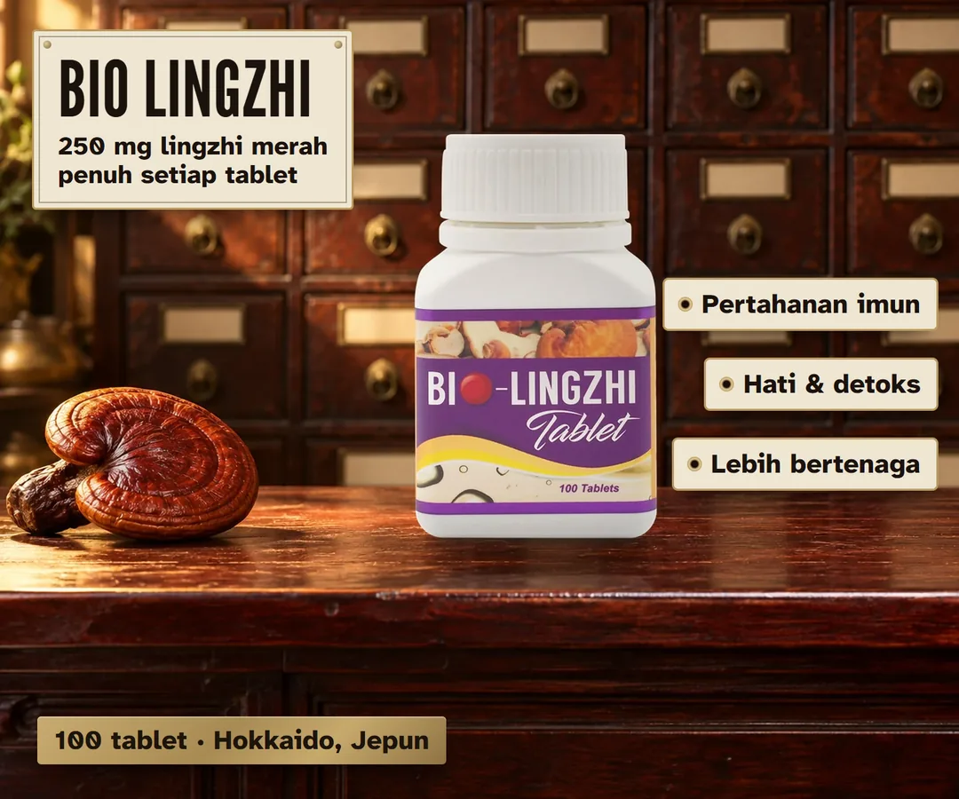 Botol BIO LingZhi 100 tablet di atas kaunter kedai ubat, di sebelah cendawan lingzhi merah. 250 mg lingzhi merah penuh setiap tablet: pertahanan imun, hati dan penyahtoksikan, tenaga.