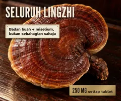 Seluruh cendawan: badan buah dan miselium, 250 mg Ganoderma lucidum dalam setiap tablet.