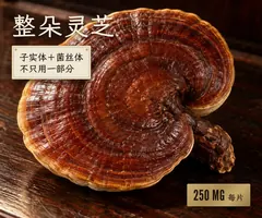整朵灵芝：子实体加菌丝体，每片250毫克赤灵芝。