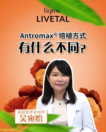 How Antromax® antrodia is cultured