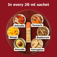 What is in every 20 ml sachet: Antromax antrodia from Taiwan, turmeric, bupleurum and astragalus, in an avocado and mango drink.