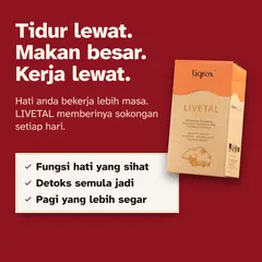 Tidur lewat, makanan berlemak dan minuman membuatkan hati anda bekerja lebih masa. LIVETAL menyokong fungsi hati yang sihat, detoks semula jadi dan pagi yang lebih segar.