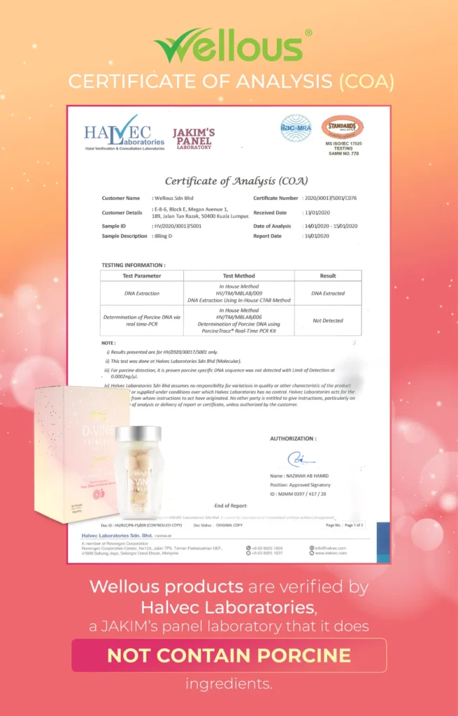 D-VINE Halvec verification certificate