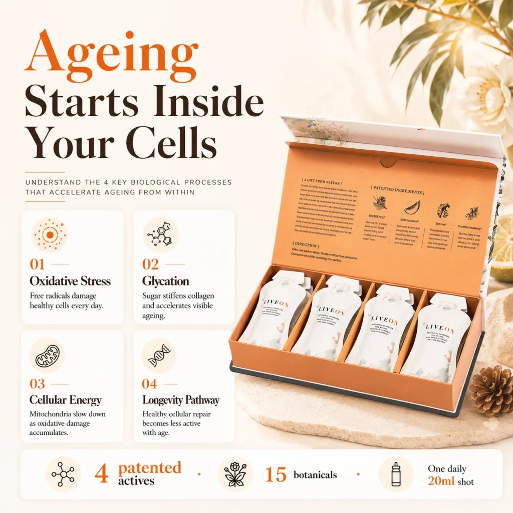 Open LIVEON box with the four ageing processes explained