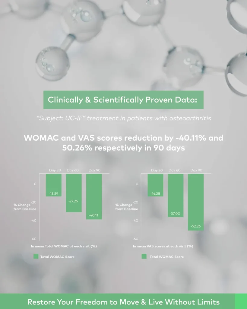 UC-II study chart — WOMAC and VAS score reductions over 90 days