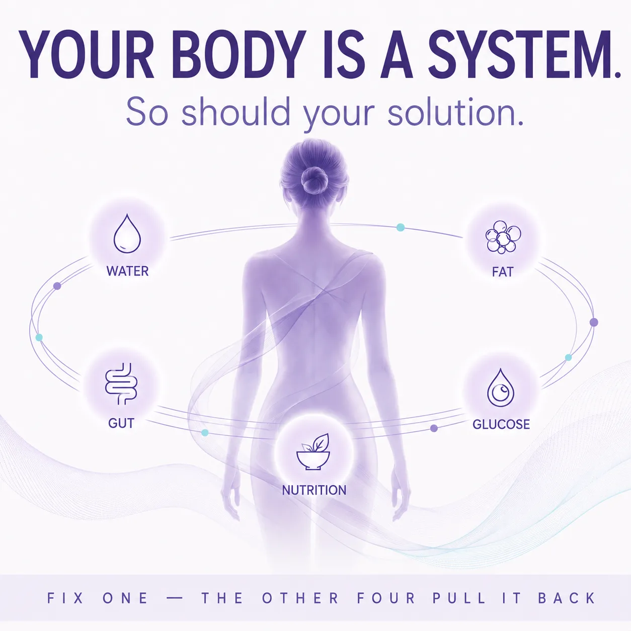 “Your body is a system” diagram: a figure ringed by five linked circles labelled water, fat, gut, glucose and nutrition, above the line “fix one — the other four pull it back”.