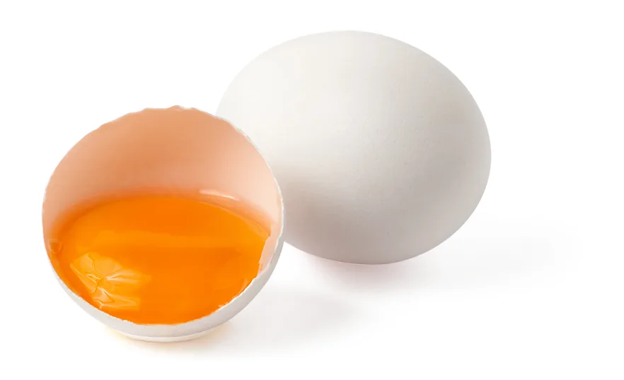 BonePep egg yolk peptide — bone support pillar