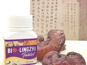 Red reishi (lingzhi) mushrooms, the Ganoderma lucidum in BIO LingZhi