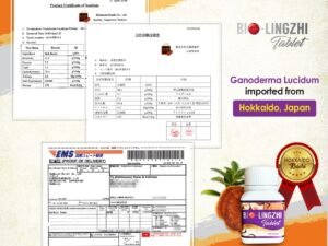 Certificate of analysis for the Hokkaido red reishi powder in BIO LingZhi