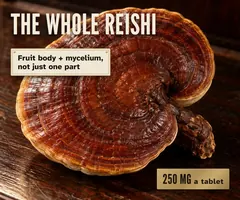 The whole mushroom: fruit body and mycelium, 250 mg of Ganoderma lucidum in every tablet.