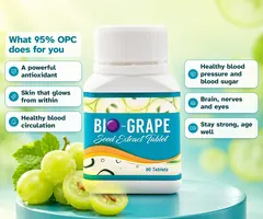 What 95% OPC does for you: a powerful antioxidant, skin that glows from within, healthy blood circulation, healthy blood pressure and blood sugar, brain, nerves and eyes, stay strong and age well.