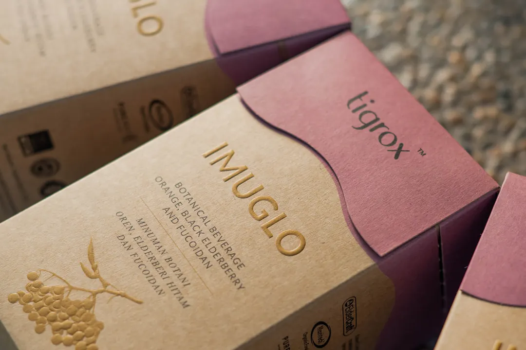 TIGROX IMUGLO boxes on a terrazzo floor