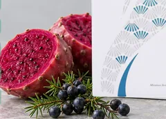 The Kuro Mizu box and sachet with prickly pear cactus fruit, juniper berries, ginger and red plums. Flush out excess water and salt: CactiNea™ cactus fruit 10%, juniper berries 3%, meadowsweet, ginger root, Japanese red plum and 1,000-day Kurozu.