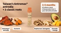 Taiwan's Antromax antrodia with turmeric, bupleurum and astragalus. Antromax is cultured for 3 to 5 months, with more triterpenoids than 3-year-old wild antrodia.
