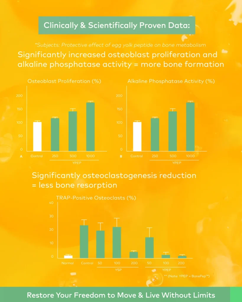 BonePep study chart — osteoblast proliferation and osteoclastogenesis reduction data