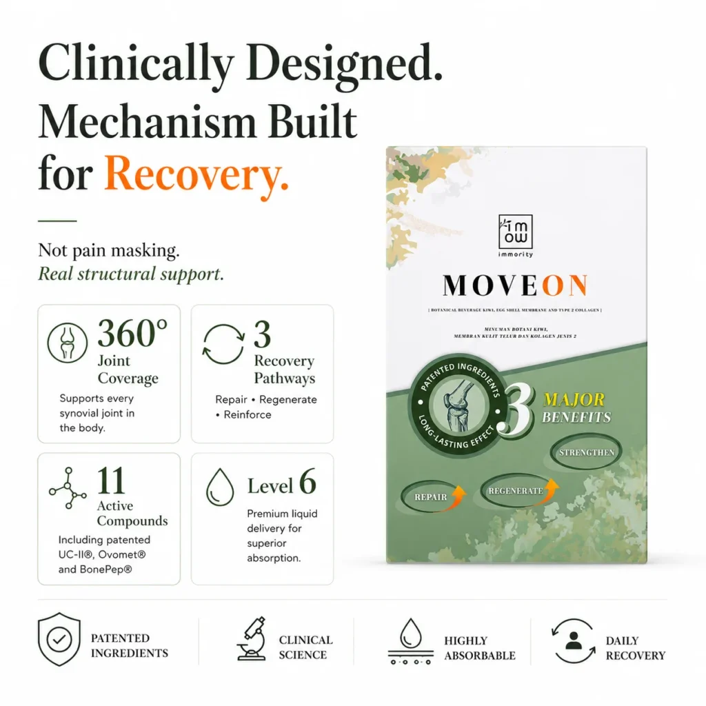 MOVEON — how the daily routine works